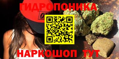 дживик Камышлов