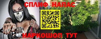 дживик Камышлов
