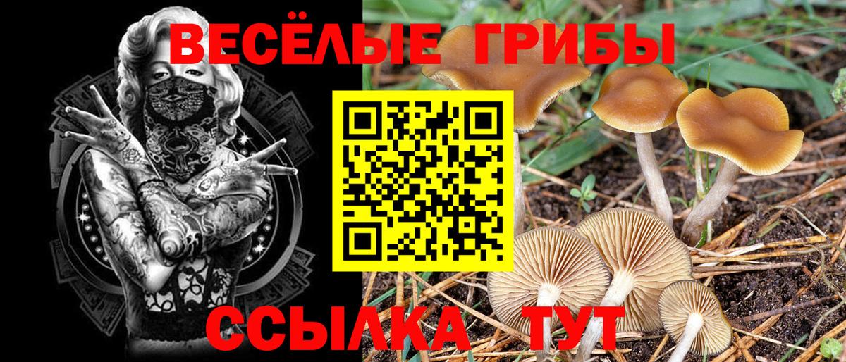 Псилоцибиновые грибы мицелий  Вход с VPN  Кыштым  Псилоцибиновые грибы ЛСД 